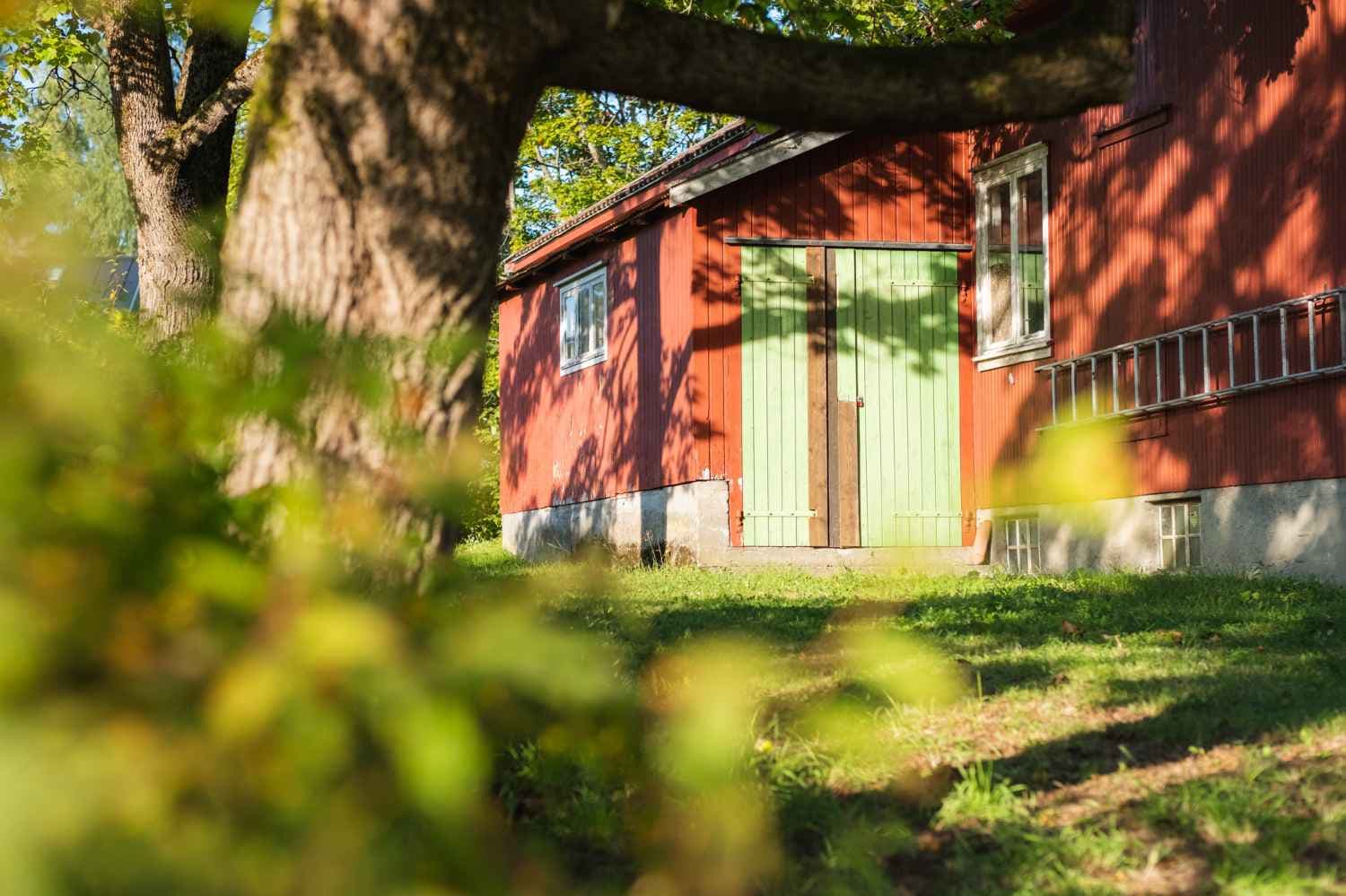 Et bilde som er lagt til i innlegget.
